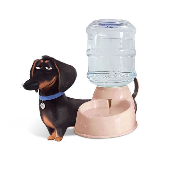 Imagen de Dispensador de Agua para Mascotas Color Salmón